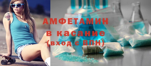 прущие грибы Магас