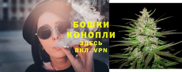 твердый Медвежьегорск