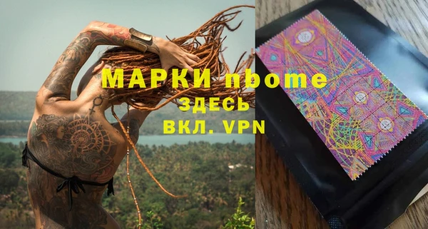 прущие грибы Магас