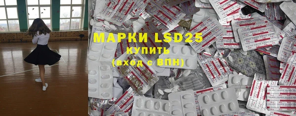 прущие грибы Магас