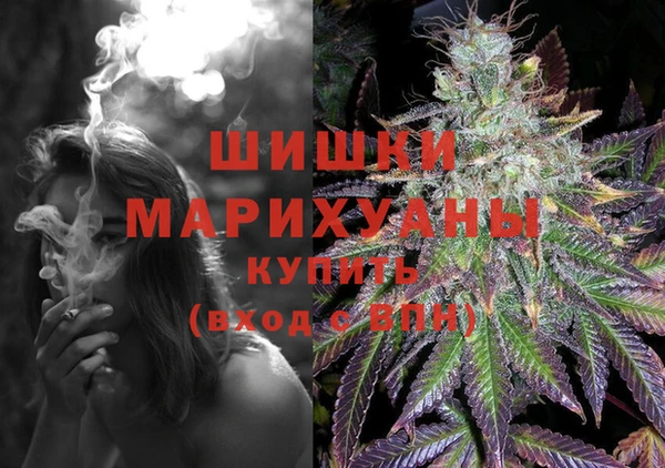 прущие грибы Магас