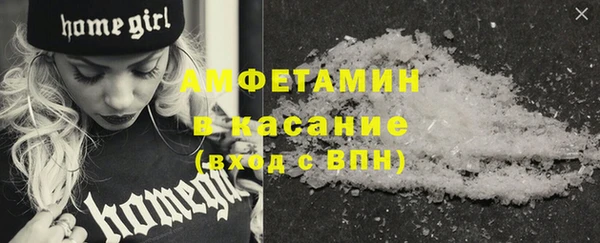 прущие грибы Магас